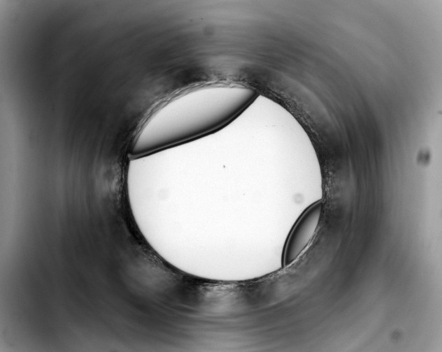 X0000103440132200810101113