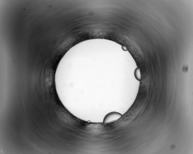 X0000103440133200810101113