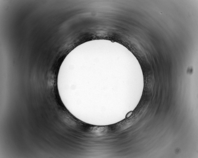 X0000103440135200810101113