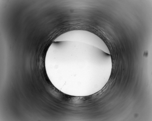 X0000103440136200810101113
