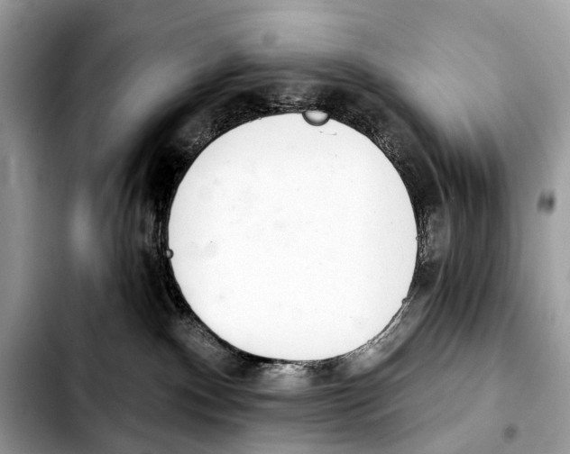 X0000103440140200810101113