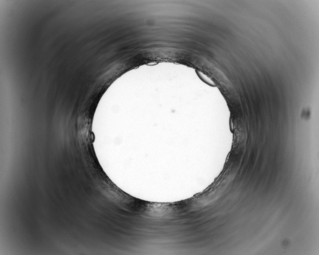 X0000103440141200810101113