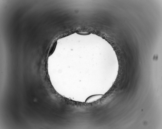 X0000103440144200810101113