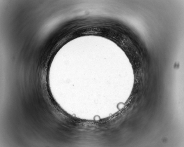 X0000103440146200810101112
