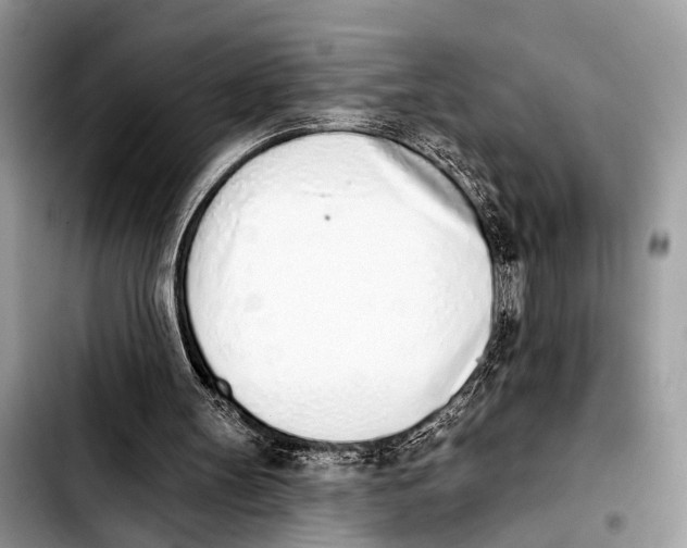 X0000103440147200810101112