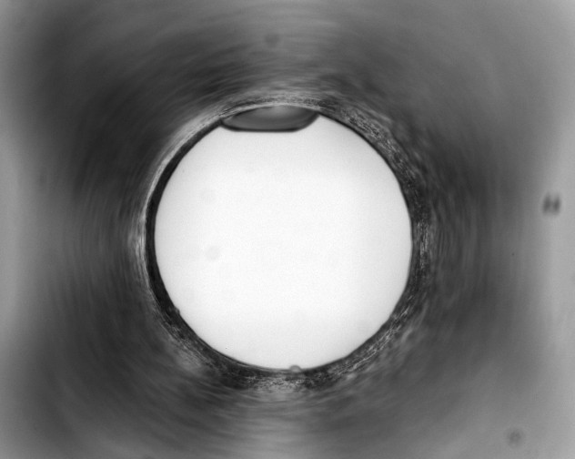 X0000103440148200810101113