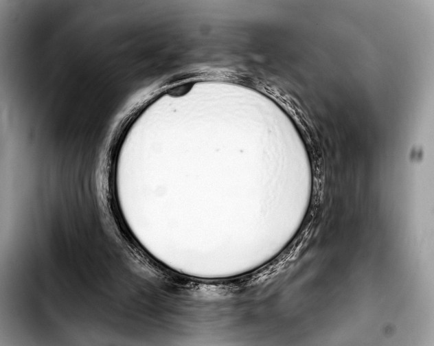 X0000103440149200810101113