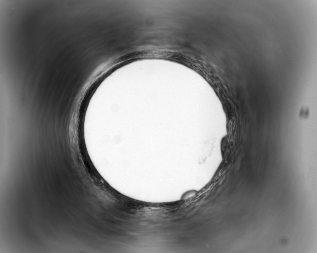 X0000103440150200810101113