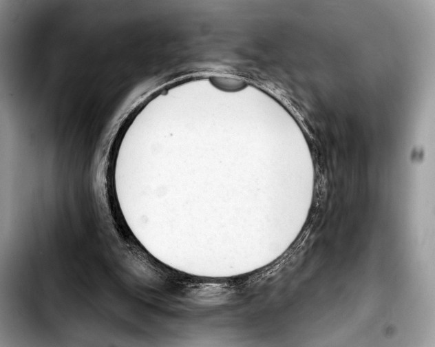 X0000103440151200810101113