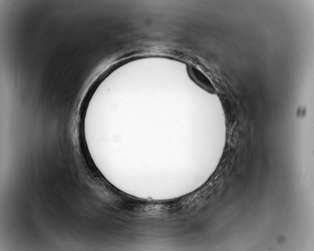 X0000103440152200810101113