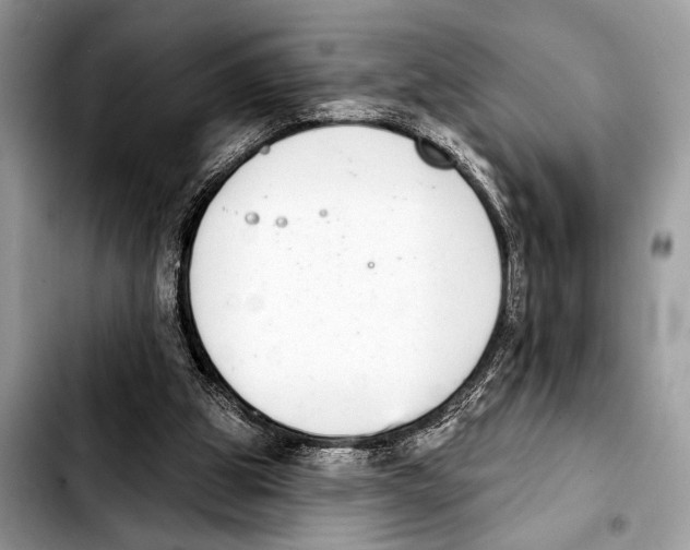 X0000103440153200810101113