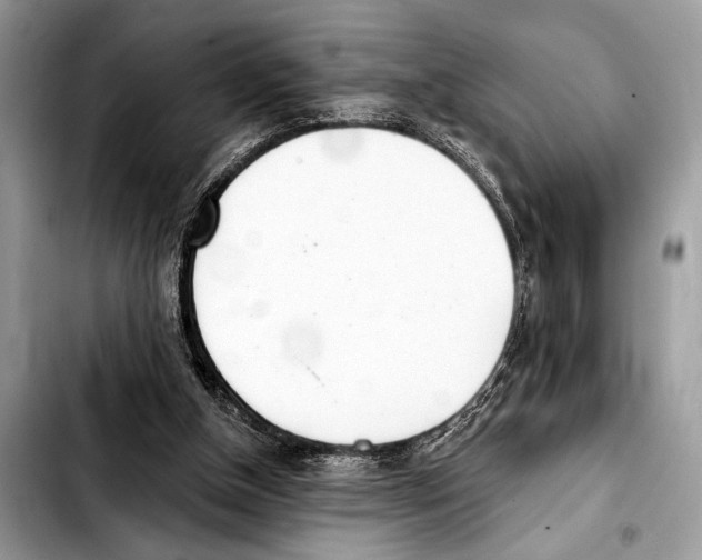 X0000103440154200810101113