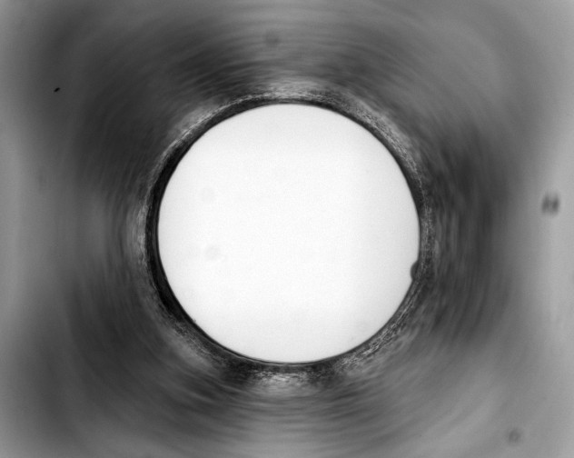 X0000103440155200810101113