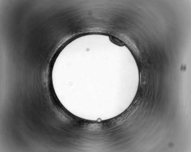 X0000103440156200810101113