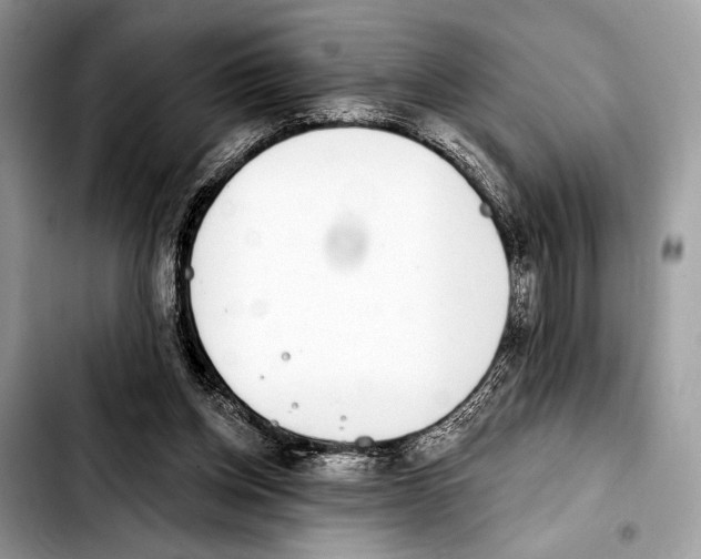 X0000103440158200810101113