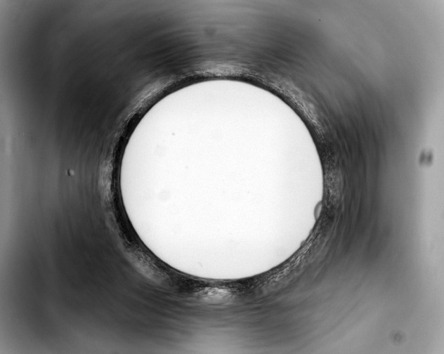 X0000103440159200810101113