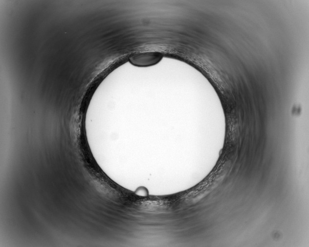 X0000103440160200810101113