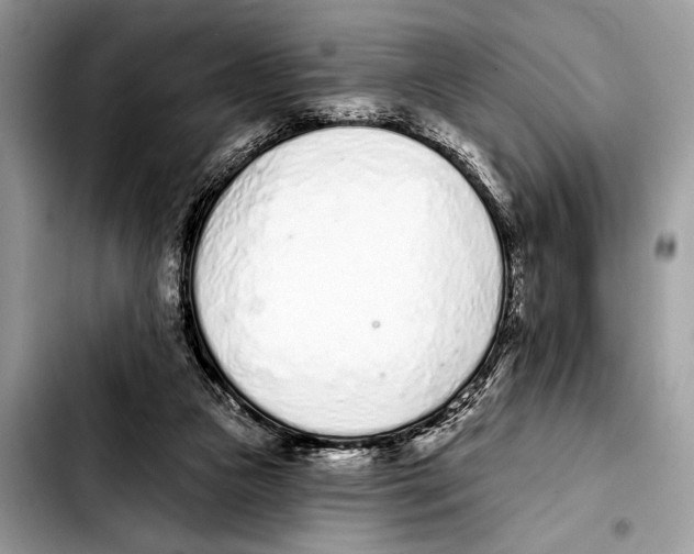 X0000103440161200810101113