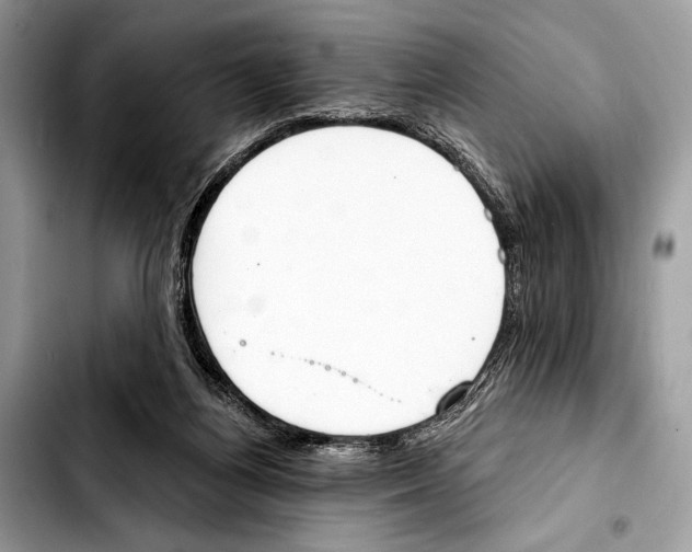 X0000103440164200810101113