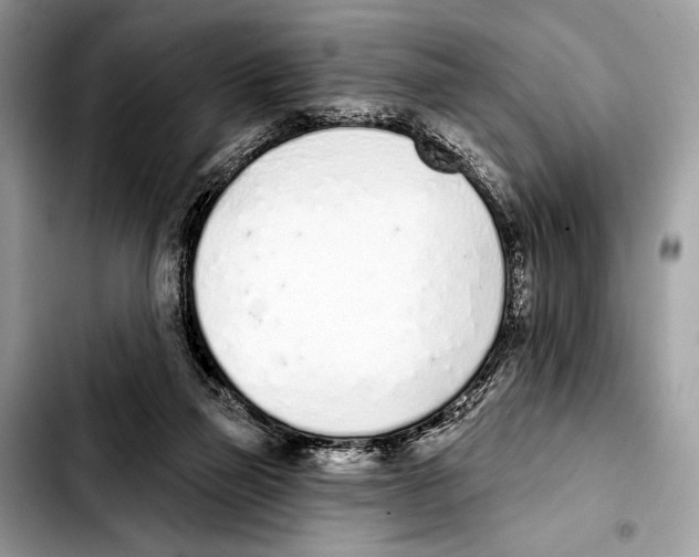 X0000103440165200810101113