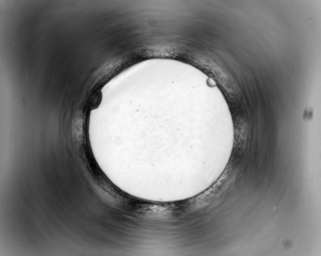 X0000103440166200810101113