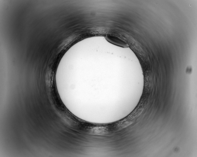 X0000103440168200810101113