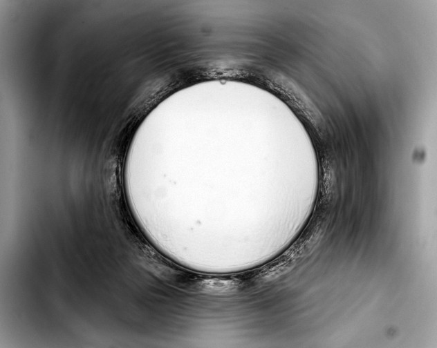 X0000103440169200810101113