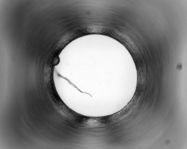 X0000103440171200810101113