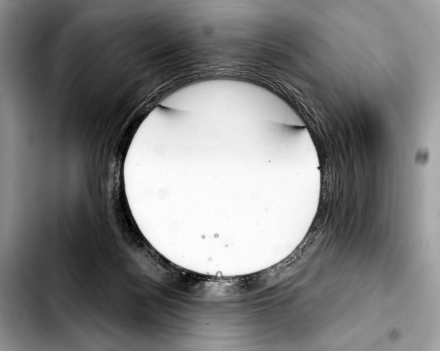 X0000103440172200810101113