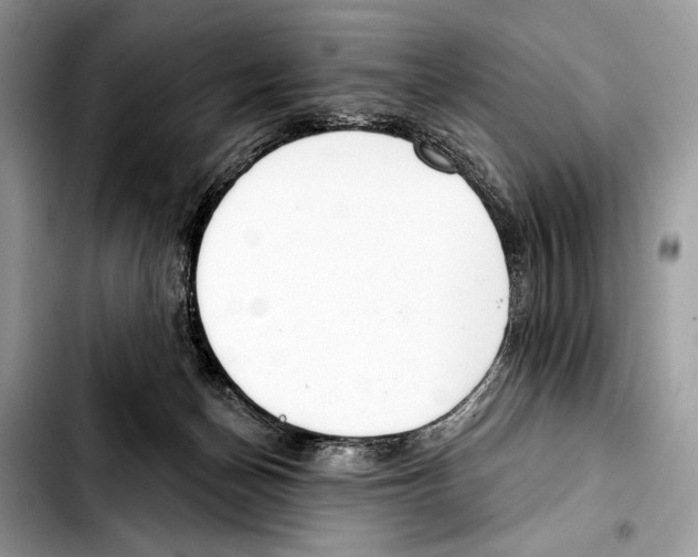 X0000103440174200810101113