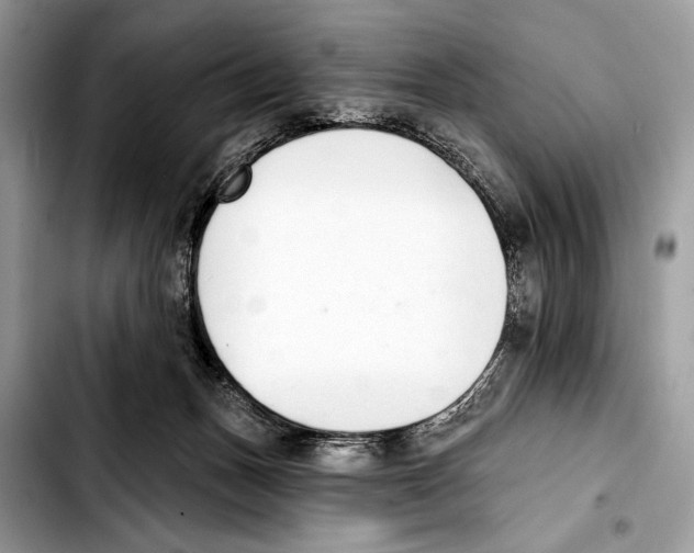 X0000103440175200810101113