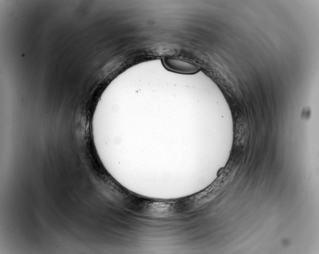 X0000103440176200810101113