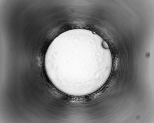 X0000103440177200810101113