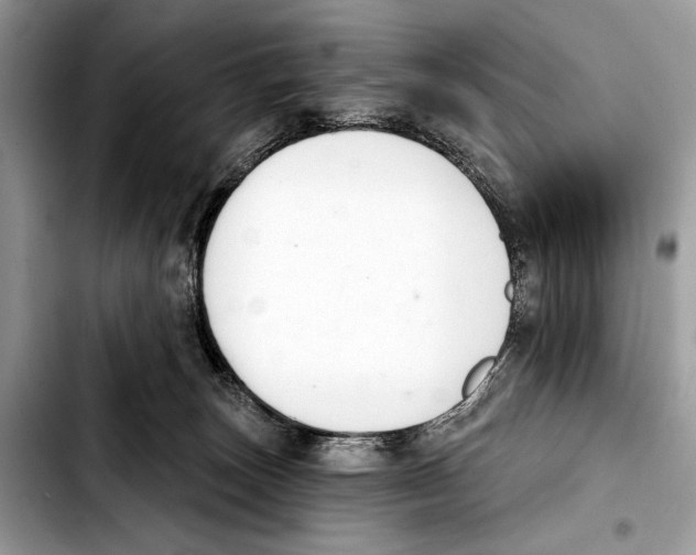 X0000103440179200810101113