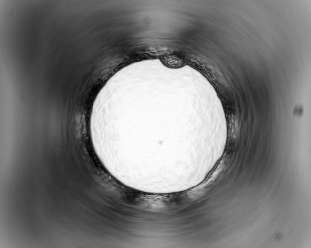 X0000103440182200810101113
