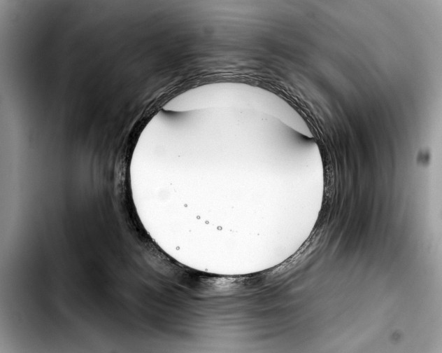 X0000103440184200810101113