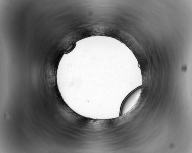 X0000103440186200810101113