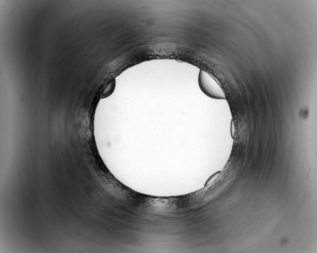 X0000103440187200810101113