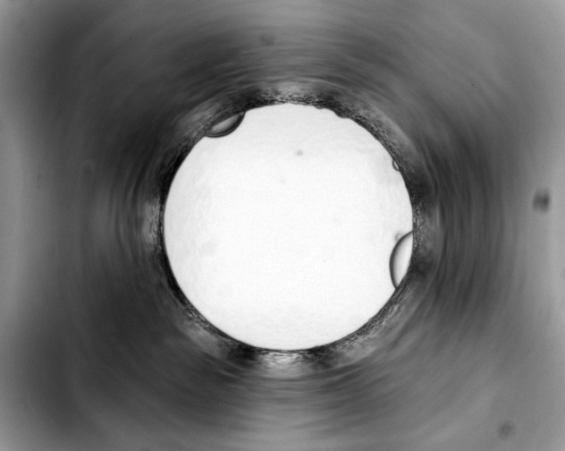 X0000103440189200810101113