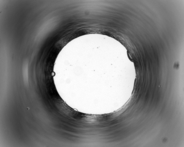 X0000103440190200810101113
