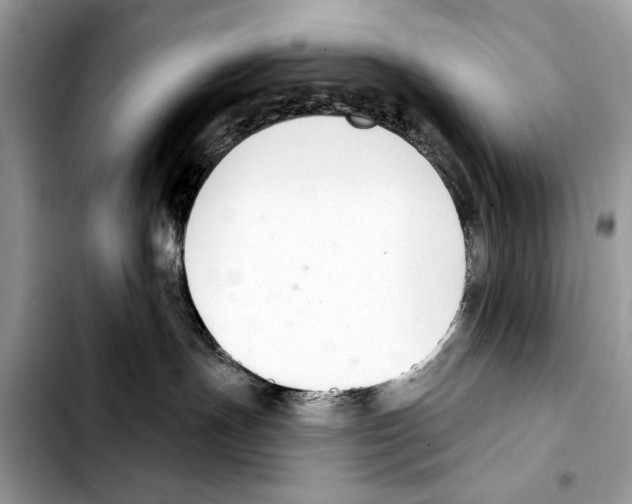 X0000103440191200810101113