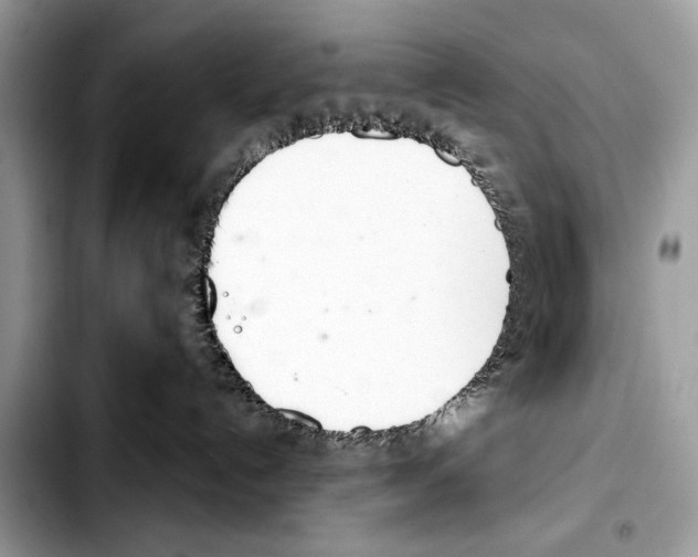 X0000103440192200810101113