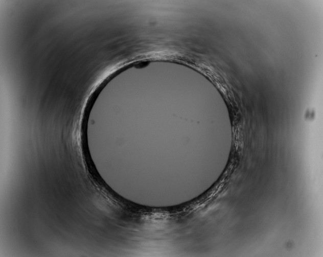 X0000103440196200810101112