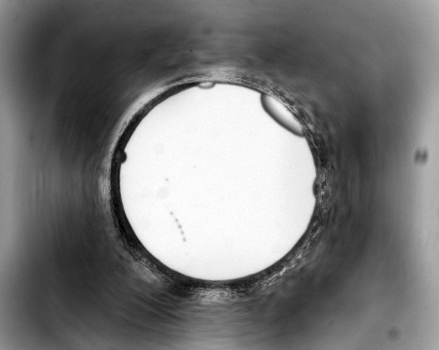 X0000103440200200810101112