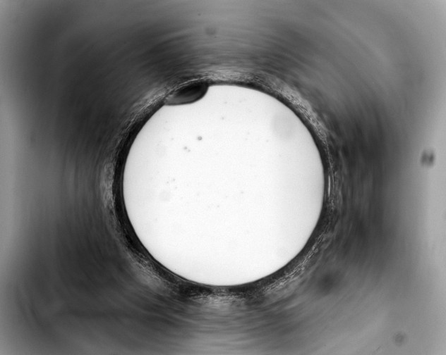 X0000103440201200810101112