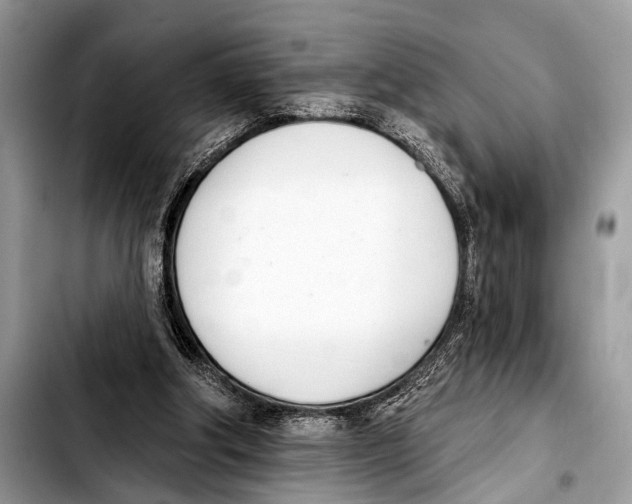 X0000103440202200810101112