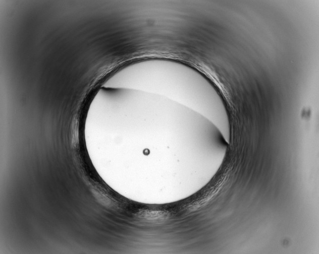 X0000103440205200810101112