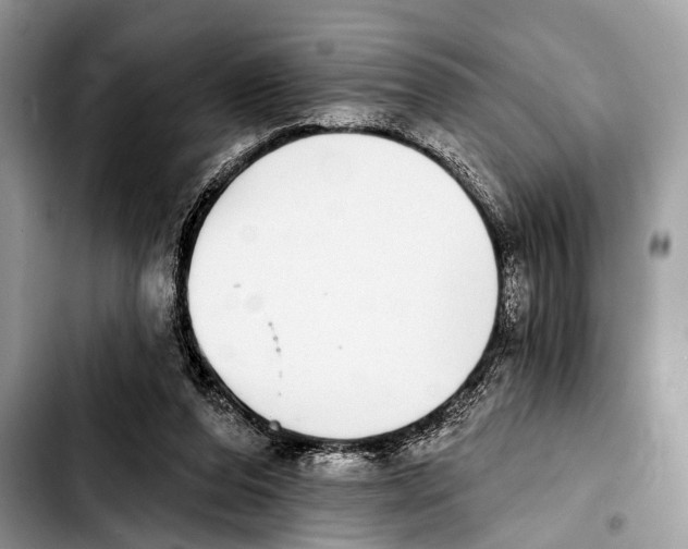 X0000103440208200810101112