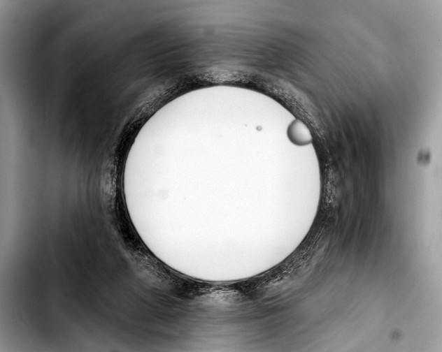 X0000103440210200810101112