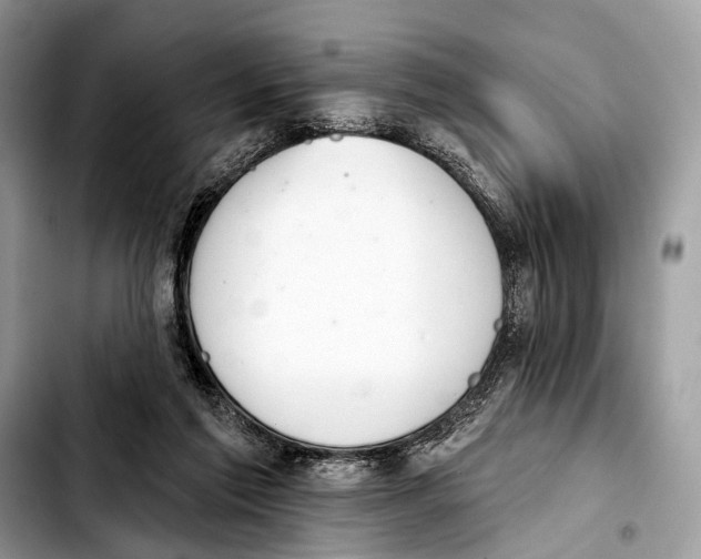 X0000103440213200810101112